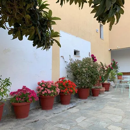 Hapinness Seaview * PalaiónTsiflíkion