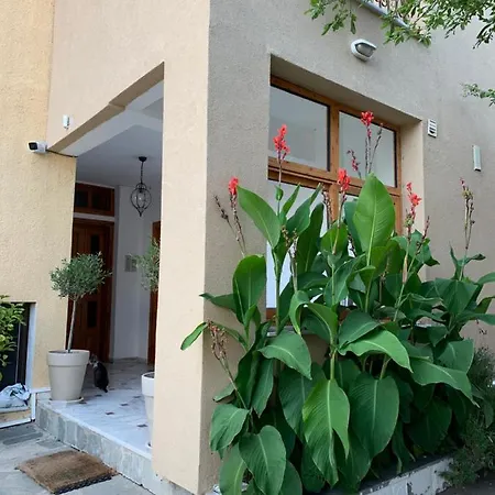 Hapinness Seaview PalaiónTsiflíkion